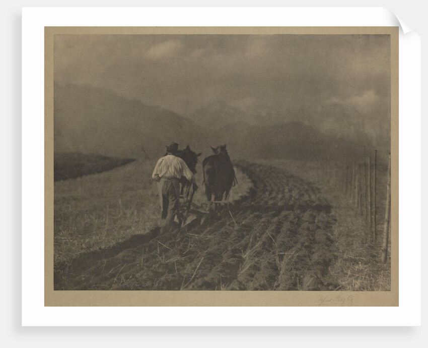 Ploughing - The  Tirol by Alfred Stieglitz