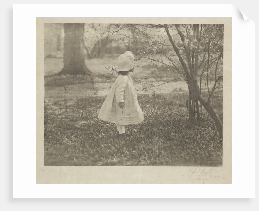 Spring by Alfred Stieglitz