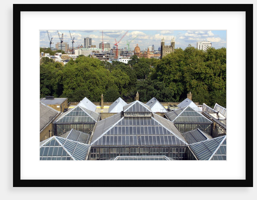 Roofscape of the V&A Museum by Anonymous
