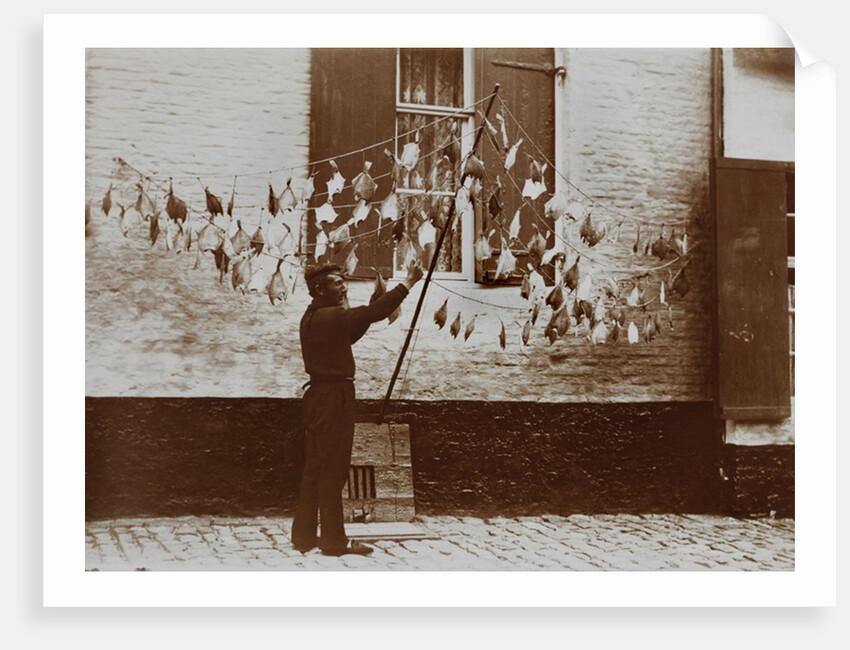 Fish Drying by Andrew Pitcairn-Knowles