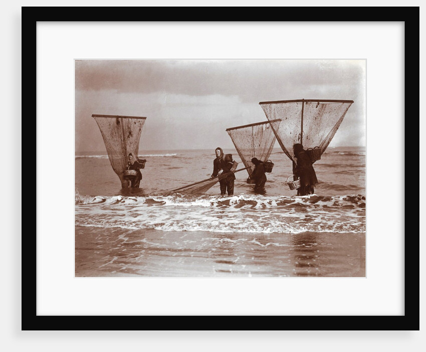 Shrimpers by Andrew Pitcairn-Knowles