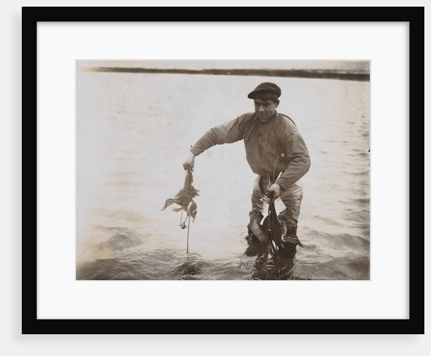 Placing the Ducks in the Pool by Andrew Pitcairn-Knowles