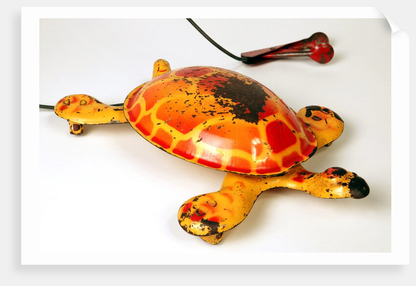 Toy tortoise by D.Sebel & Co Ltd