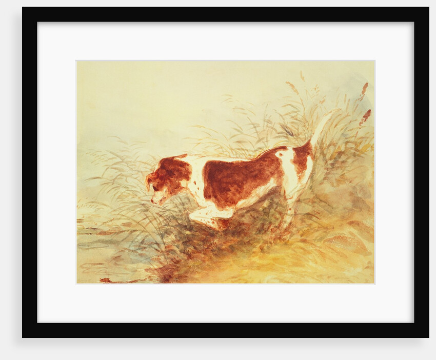 Dog Watching a Rat in the Water at Dedham by John Constable