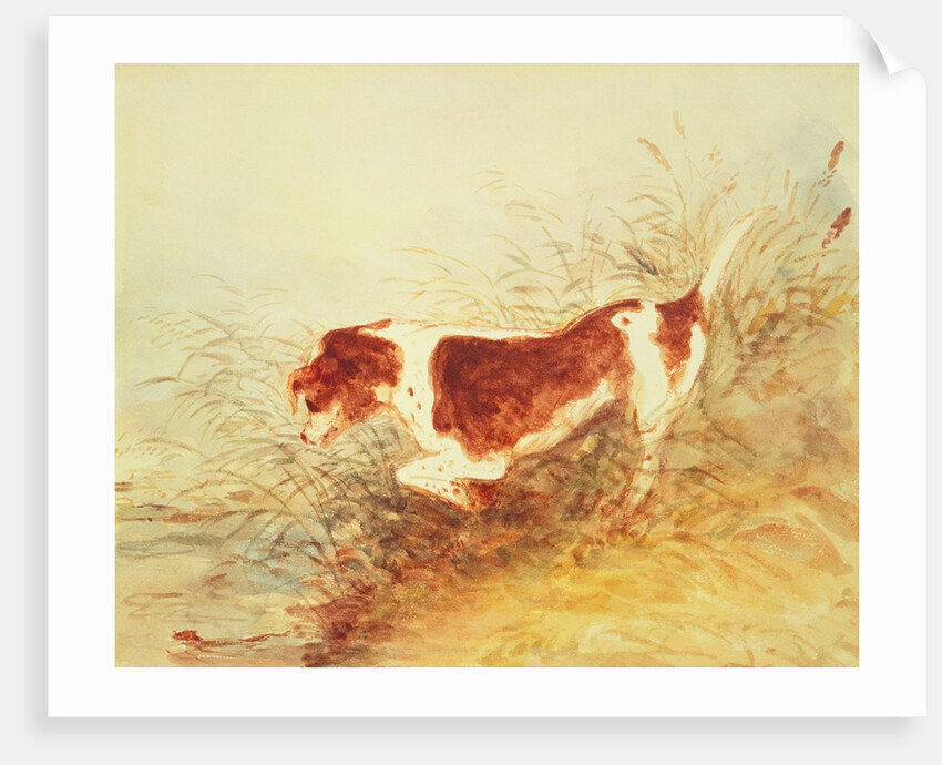 Dog Watching a Rat in the Water at Dedham by John Constable