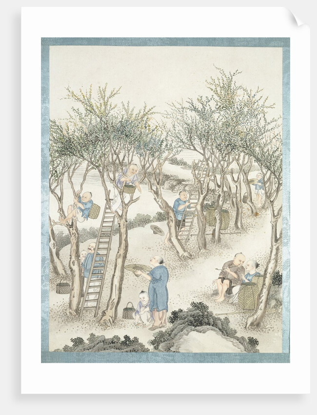 Gathering of mulberry leaves by Jun Wu