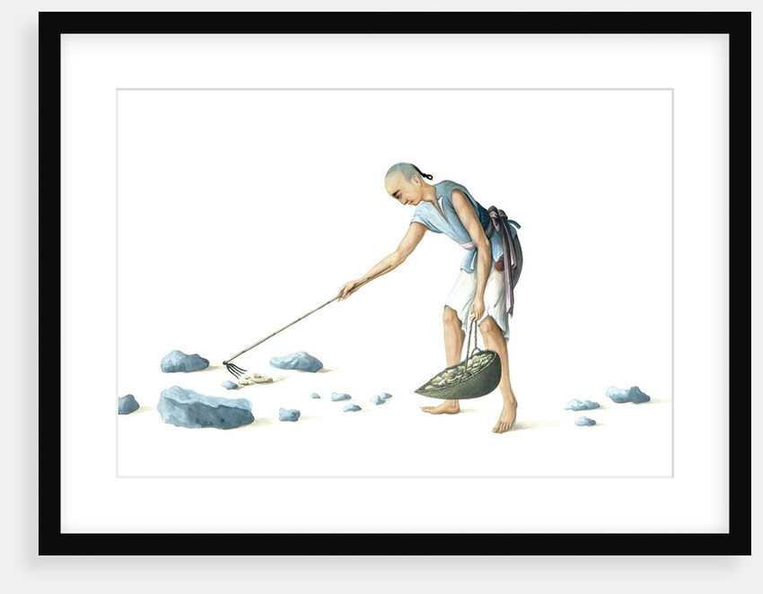 Man collecting dung by Unknown