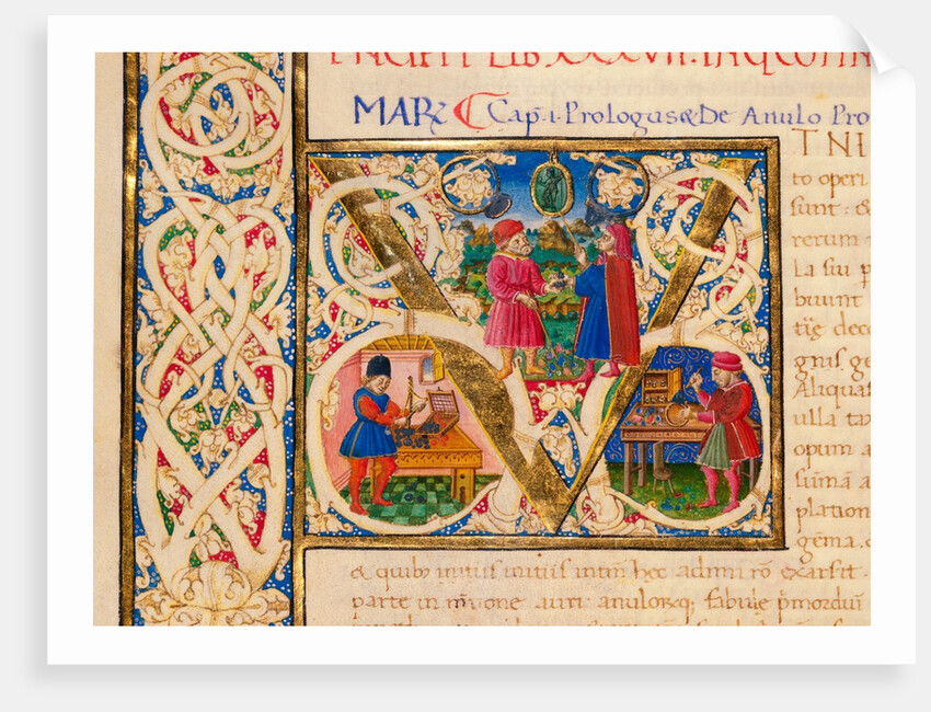 Initial V, from Pliny's Natural History. Italy, mid-15th century by Pliny the Elder