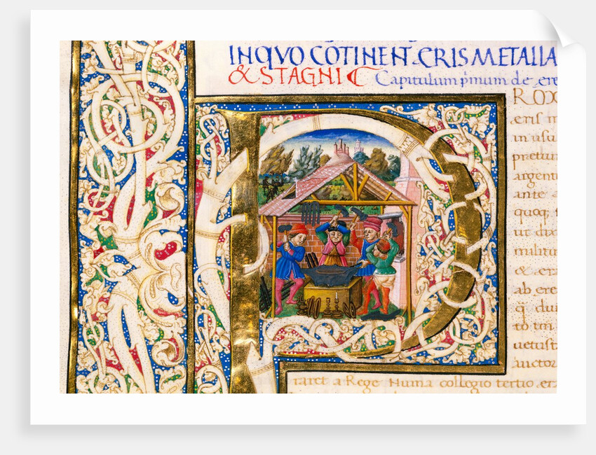 Initial P, from Pliny's Natural History. Italy, mid-15th century by Pliny the Elder