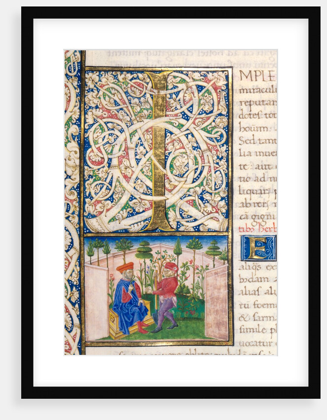Initial I from Pliny`s Natural History by Pliny the Elder