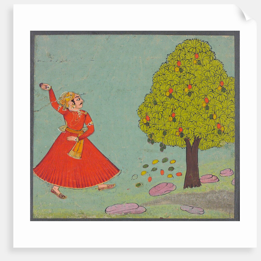 A man throwing stones at a mango tree. Bundi, India, 19th century by Unknown