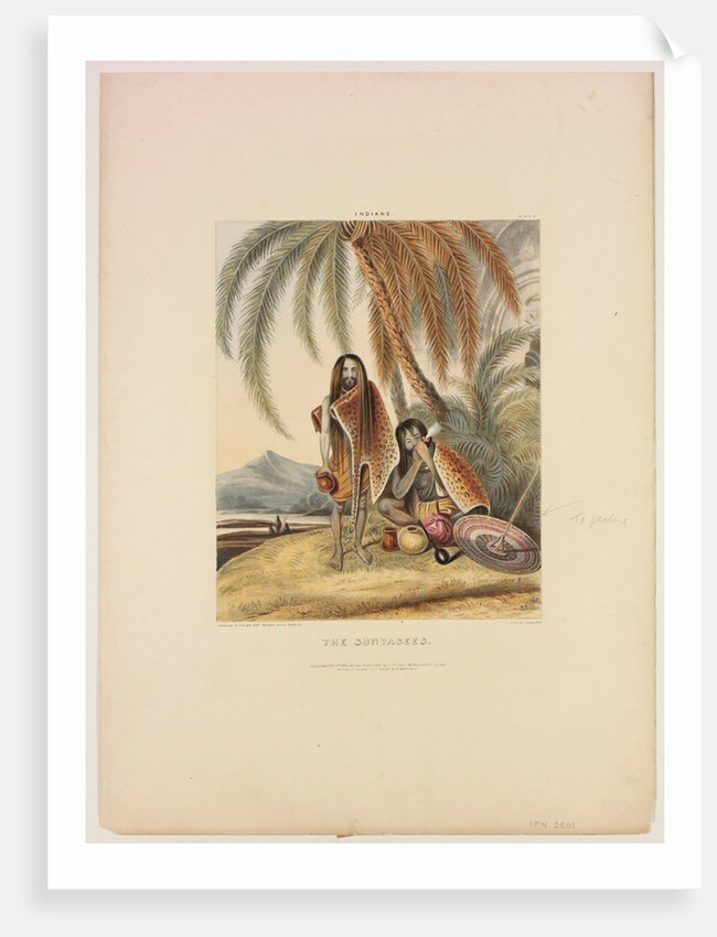 The Sunyasees by W. Tayler