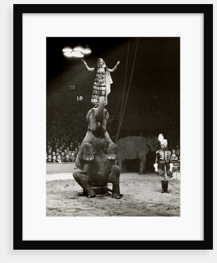 Elephant Ballet in Bertram Mills' Circus by Baron Nicholas de Racozcy