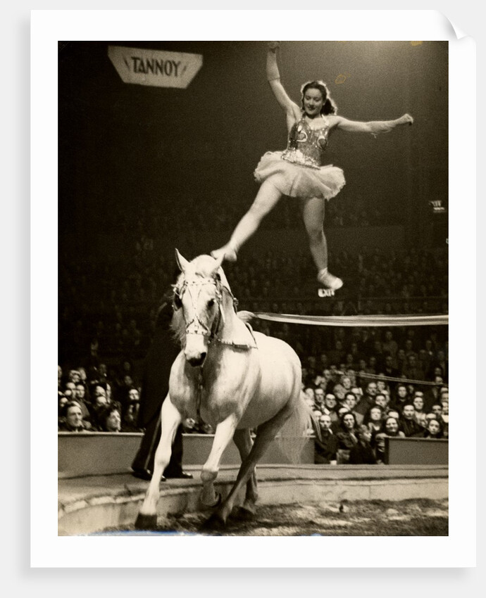 Florence Stephenson in Bertram Mills' Circus by Baron Nicholas de Racozcy