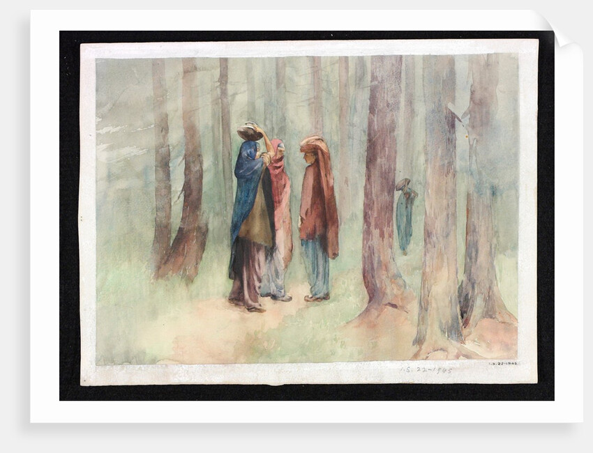 Gujar Women in the Pir Panjal Forest by Pirie