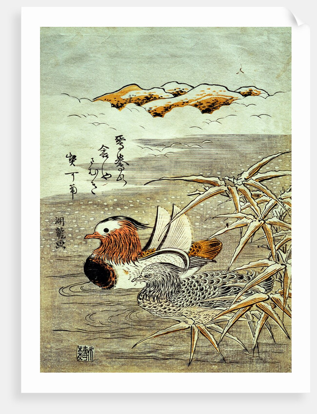 A Pair of Mandarin Ducks in Snow by Isoda Koryûsai