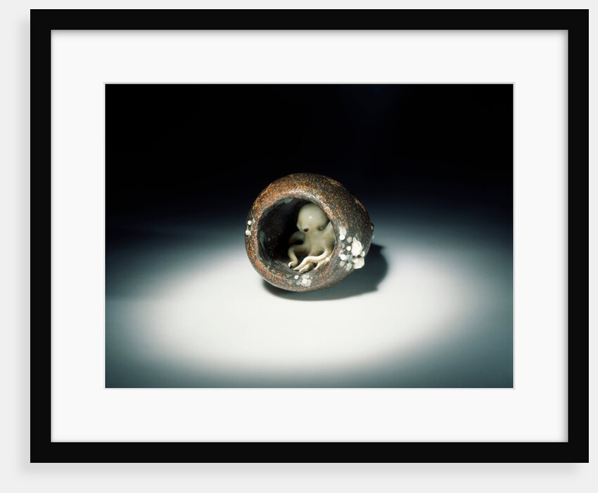Netsuke by Ohara Mitsuhiro & Kaigyokusai Masatsugu