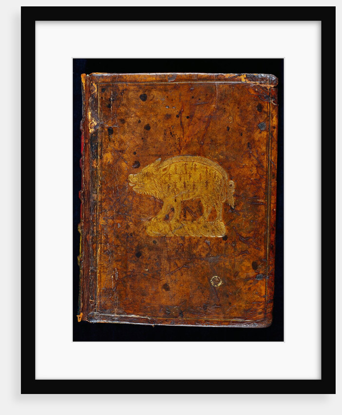 The Book of Common Prayer by Bonham Norton