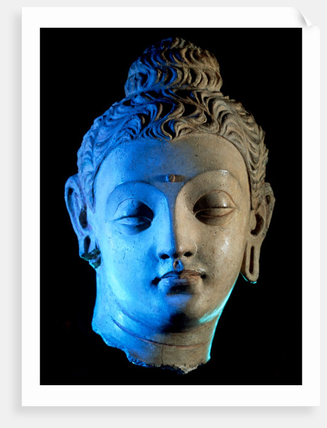 Head of The Buddha, Bodhisattva. Hadda, Afghanistan, 4th-5th century by Unknown