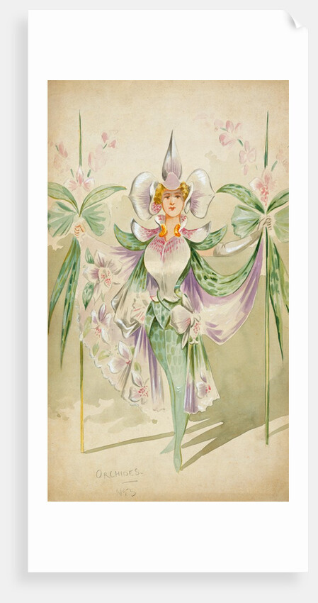 Costume design for a female Orchide by Attilio Comelli