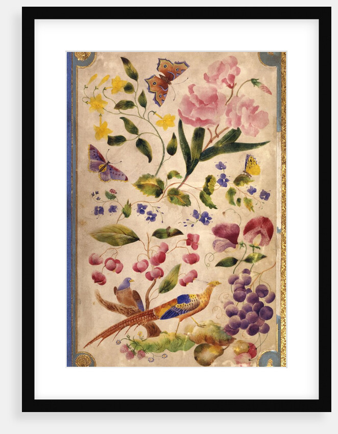 Front cover with flowers, fruits and exotic birds by Elizabeth Leveson-Gower