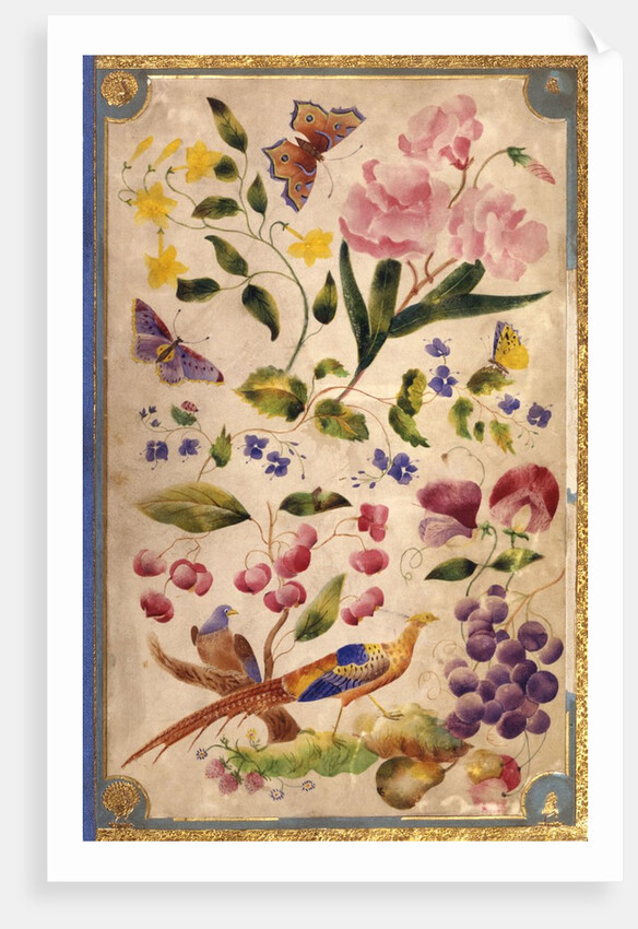 Front cover with flowers, fruits and exotic birds by Elizabeth Leveson-Gower