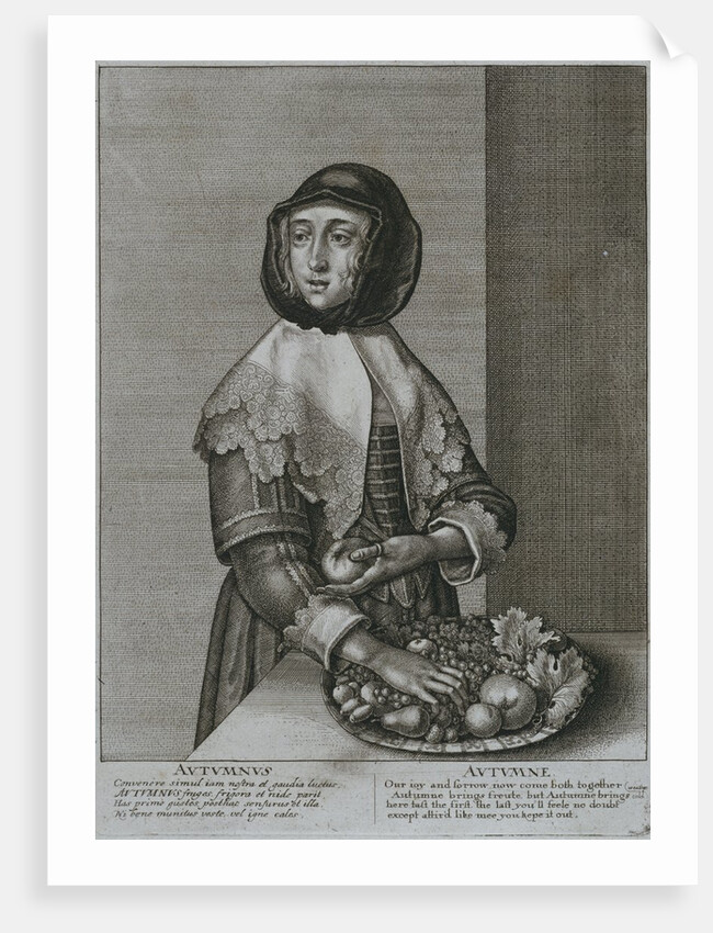 Autumn by Wenceslaus Hollar