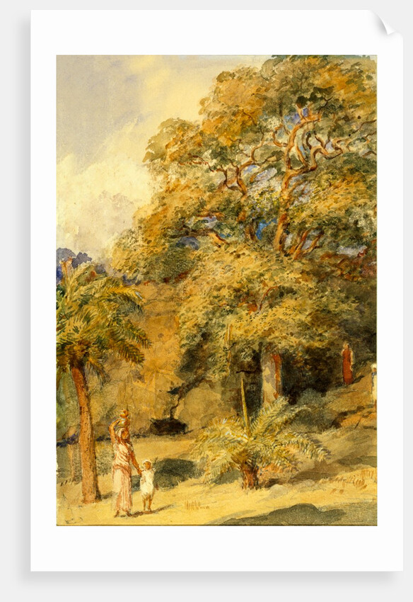 Tamarind and Wild Date Trees Beach Candy by William Carpenter
