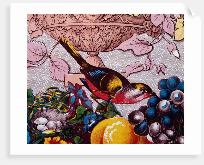 The Birds of America by John James Audubon