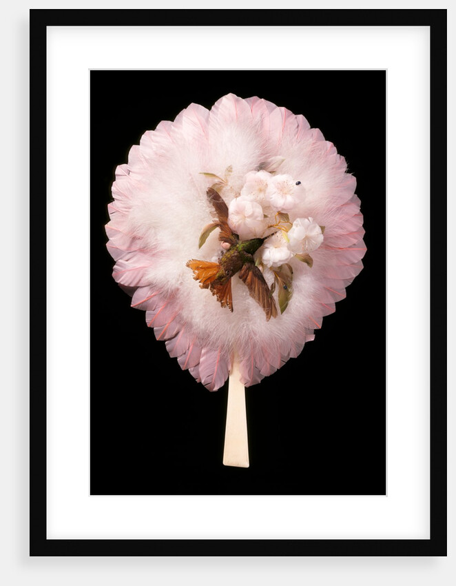 Circular feather fan. Brazil, 1880-1900 by M. & E. Natté(Melles)