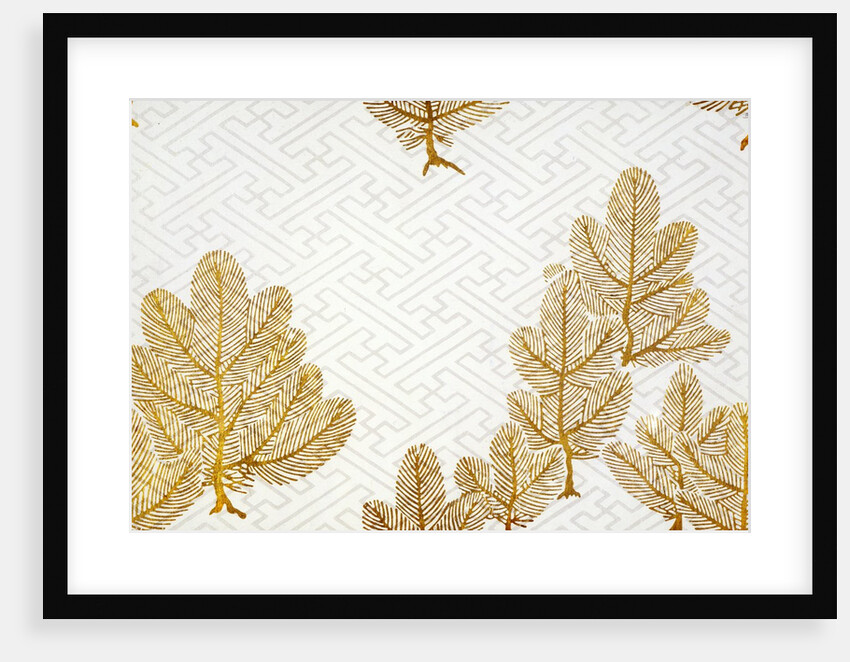 Gold fir trees paper by Unknown
