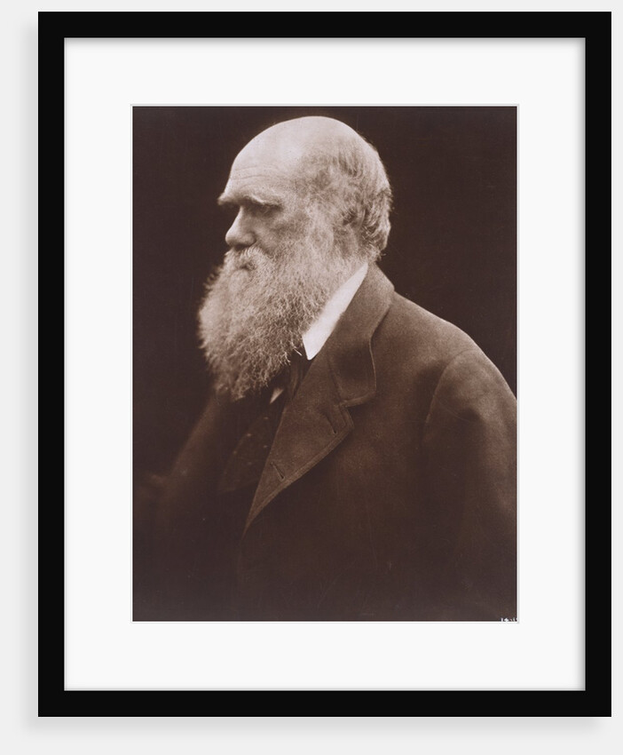 Charles Darwin by Julia Margaret Cameron