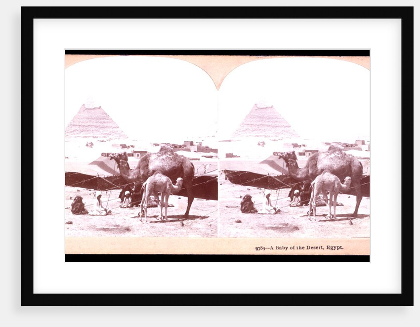 A baby of the desert by B. L. Singley