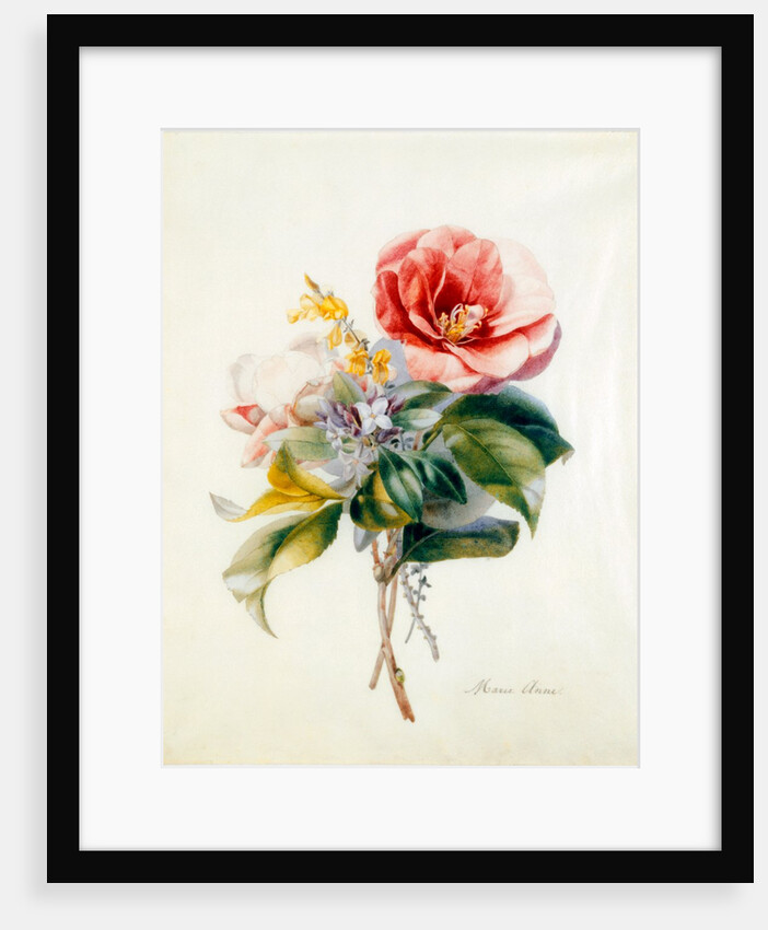 Camellia Bouquet from Flower Pieces by Unknown