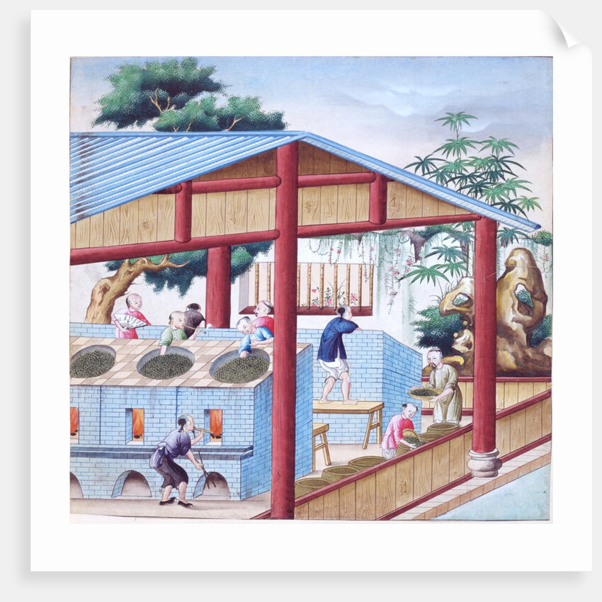 Firing tea by Unknown