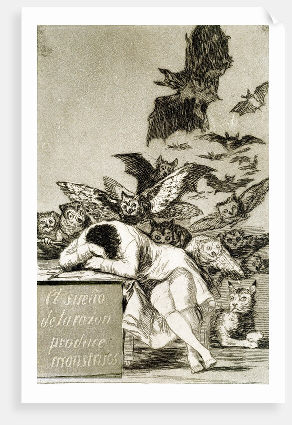 The Sleep of Reason Produces Monsters by Unknown