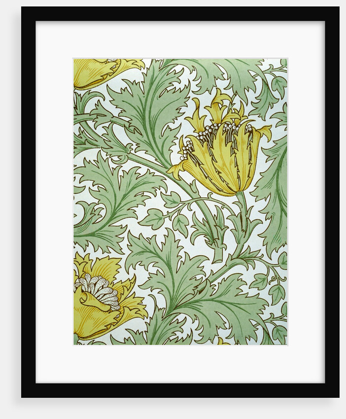 Anemone wallpaper by William Morris