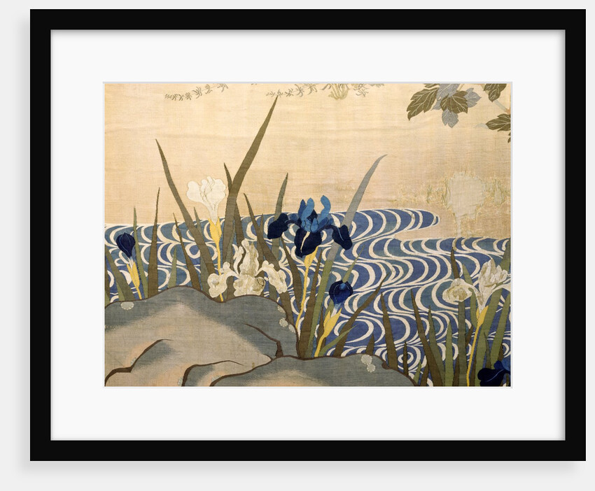 Irises by Unknown