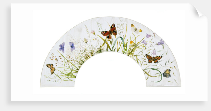 Design for a fan by Anonymous