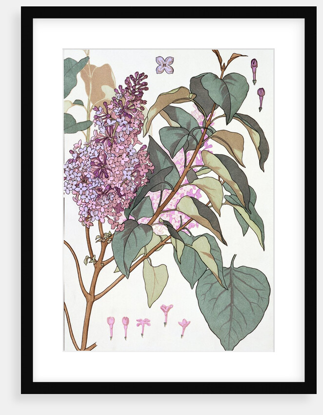 Lilac by Eugene Samuel Grasset