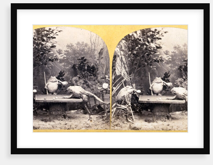 Toads Playing Snooker in a Garden. England, 19th century by Unknown