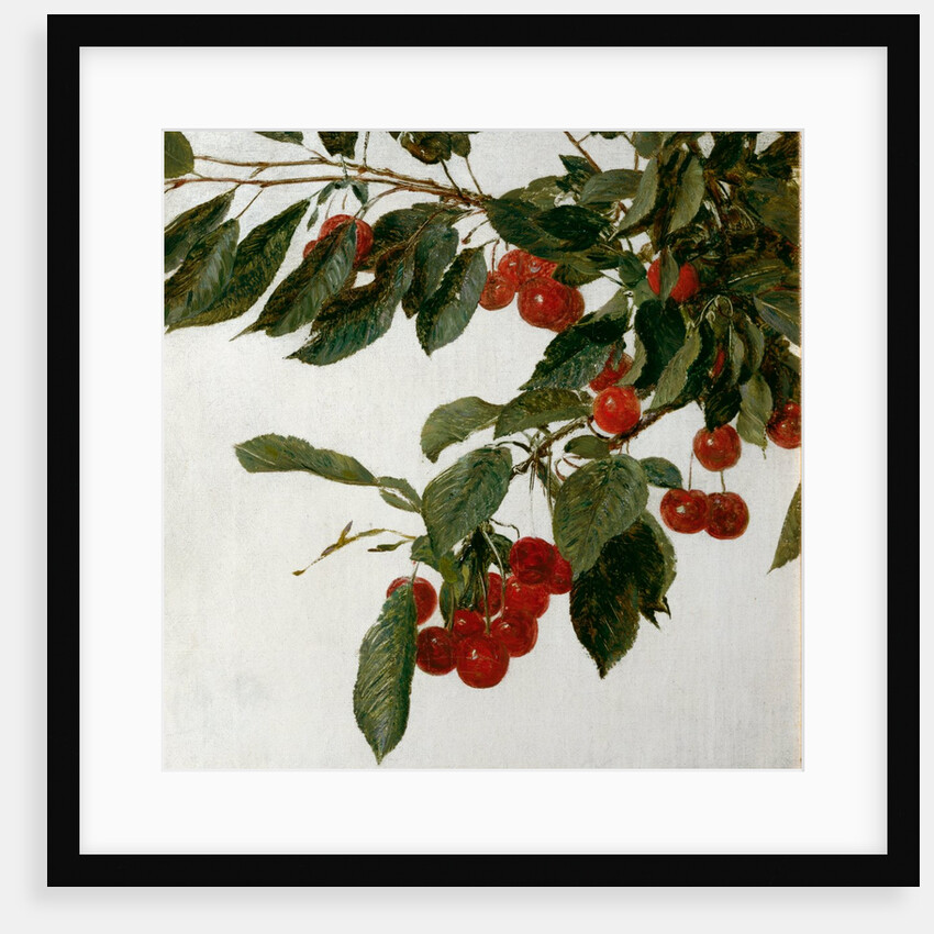 Cherries by Henri Fatin-Latour