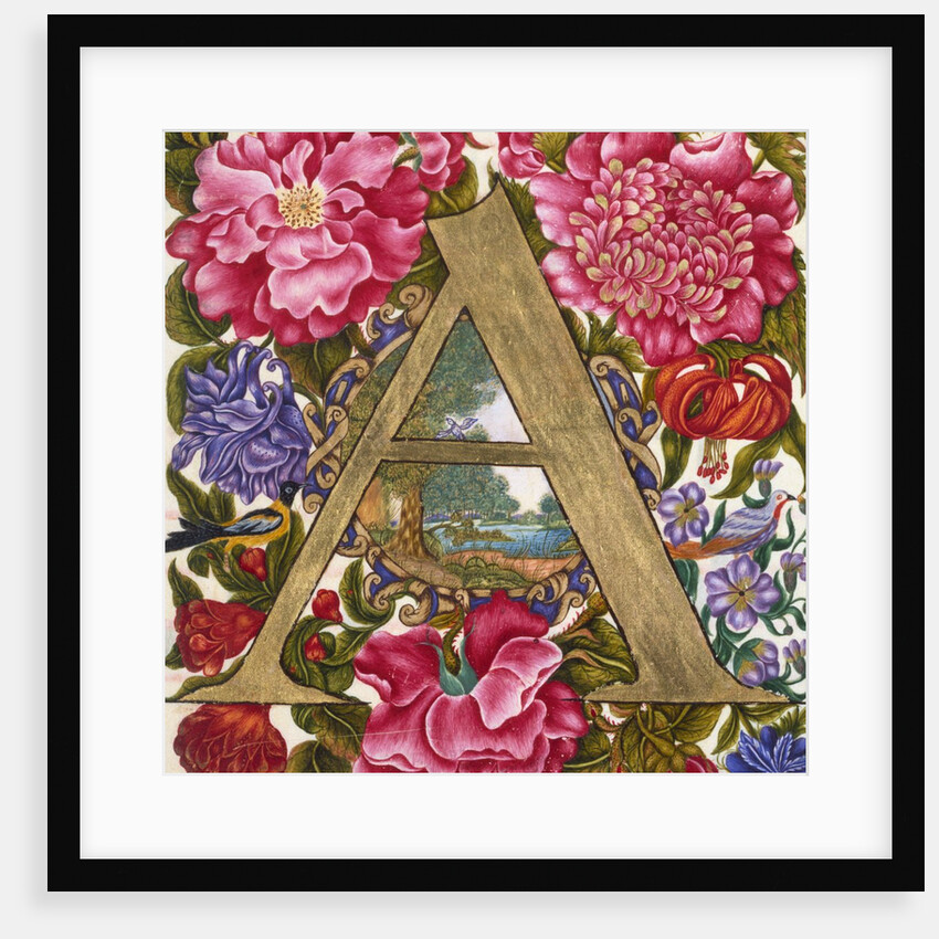 Initial A. Netherlands, 17th century by Unknown