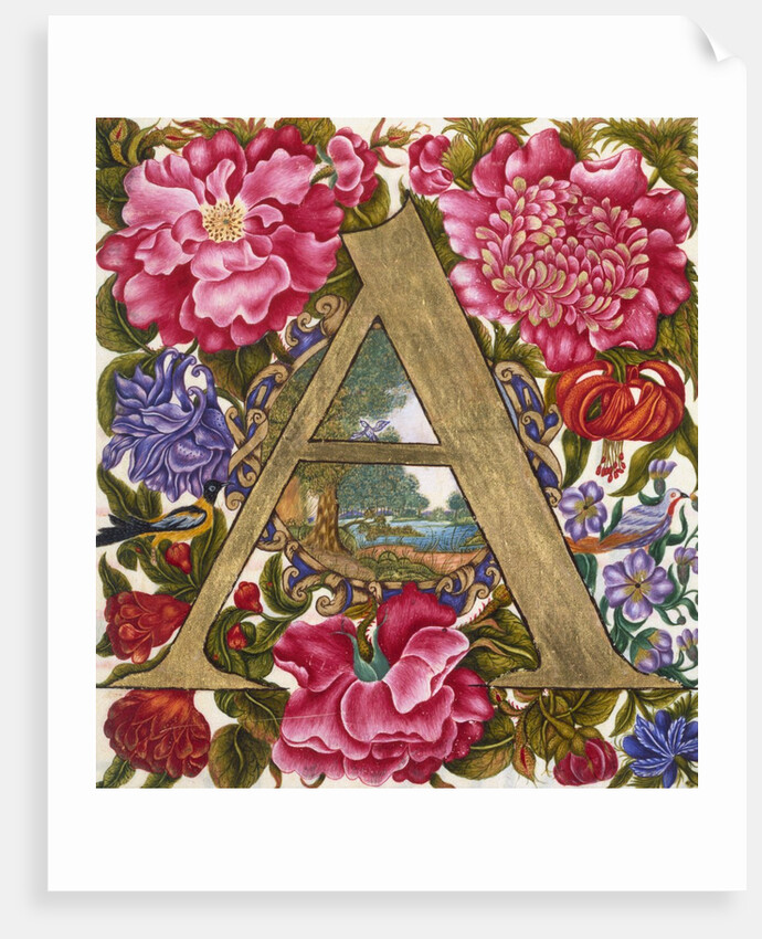 Initial A. Netherlands, 17th century by Unknown