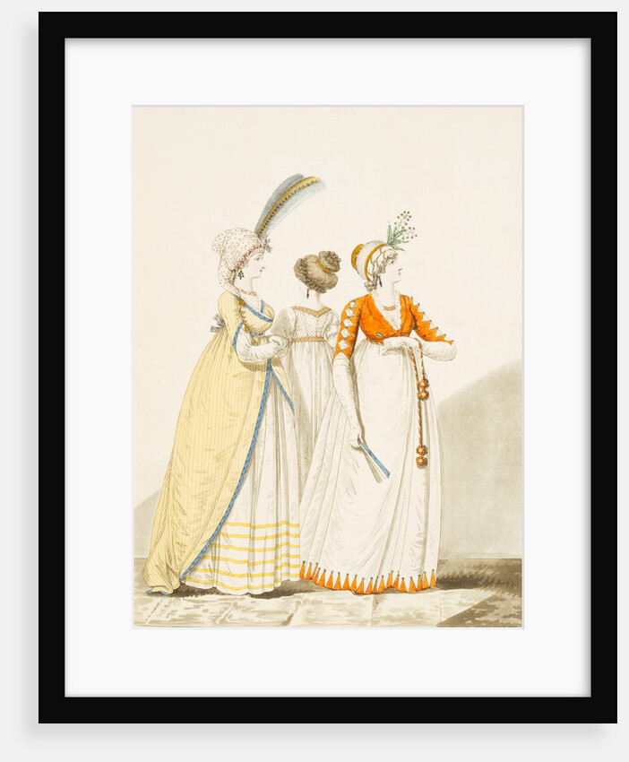 Fashion Plate by Anonymous