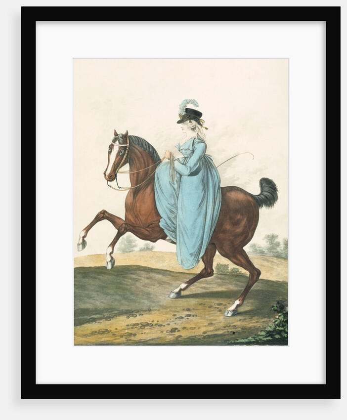 Fashion Plate by Anonymous