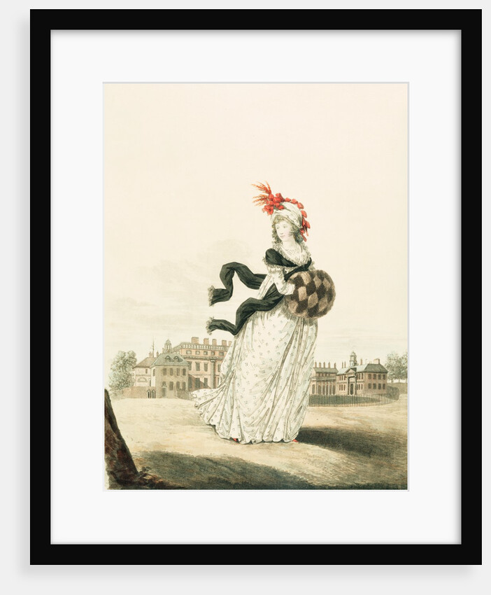 Fashion Plate by Anonymous