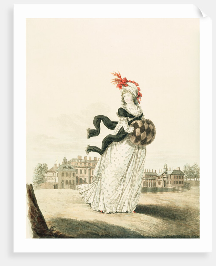 Fashion Plate by Anonymous