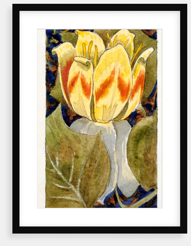 Lotus Flower by Various