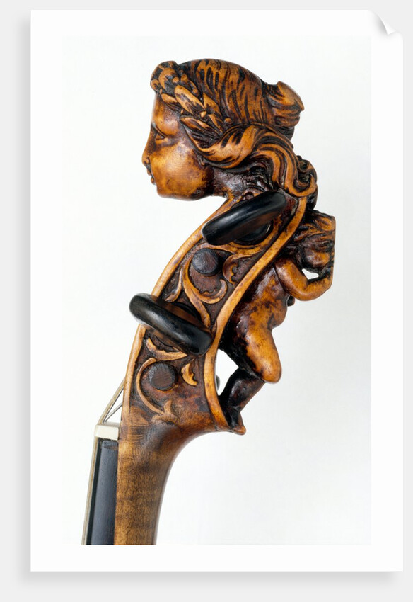 Violin, detail by Anonymous